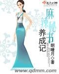 麻辣秘书养成记