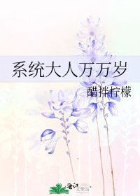 系统大人万万岁