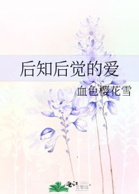 后知后觉的爱